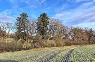 Immobilie kaufen in 82229 Seefeld, VERKAUF: Waldstreifen zwischen Drößling und Unering