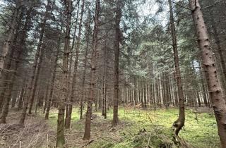 Gewerbeimmobilie kaufen in 88436 Eberhardzell, Fichtenwald bei Eberhardzell Füramoos!