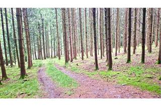 Gewerbeimmobilie kaufen in 84568 Pleiskirchen, Natur für Generationen – Wiesen, Acker & alter Waldbestand