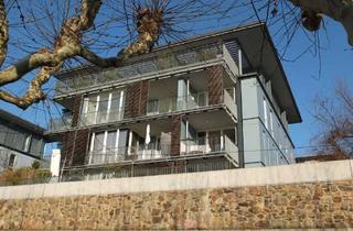 Wohnung mieten in 65203 Biebrich, Sonnige 2-Zimmer Wohnung mit Balkon direkt an der Wiesbadener Rheinpromenade