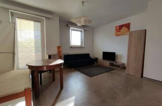 WG-Zimmer mieten in Paul-Schneider-Straße, 12247 Lankwitz, Paul-Schneider-Straße, Berlin