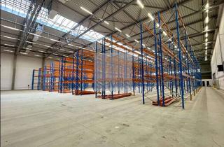 Gewerbeimmobilie mieten in 58239 Schwerte, Lagerhalle mit Regalen | teilbar | Anmietung über Savills