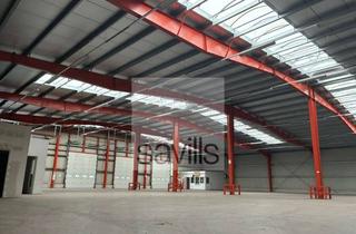 Gewerbeimmobilie mieten in 59494 Soest, Lagerhalle mit ebenerdigen Toren | teilbar | Anmietung über Savills
