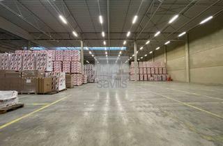 Gewerbeimmobilie mieten in 44577 Castrop-Rauxel, Logistikhalle | Rampen | Anmietung über Savills