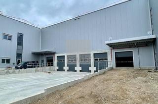 Gewerbeimmobilie mieten in 45141 Stoppenberg, Lagerhalle mit Regalen | teilbar | Anmietung über Savills