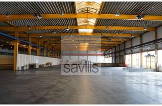 Gewerbeimmobilie mieten in 45881 Schalke-Nord, Hallenfläche in Gelsenkirchen | ebenerdige Tore | Savills