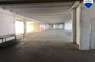 Gewerbeimmobilie mieten in 32312 Lübbecke, Vielfältig nutzbare Lagerhalle in verkehrsgünstiger Lage in Lübbecke zu vermieten