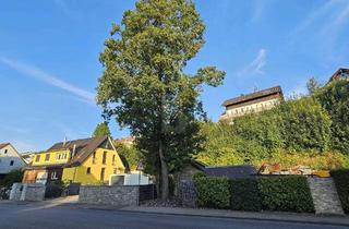 Grundstück zu kaufen in 71711 Steinheim, VIELSEITIGER RAUM FÜR LEBEN UND ARBEIT IN TOP-LAGE