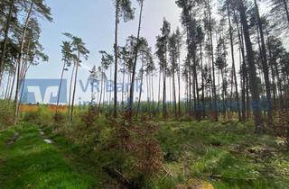 Immobilie kaufen in 91555 Feuchtwangen, Waldfläche nahe Feuchtwangen