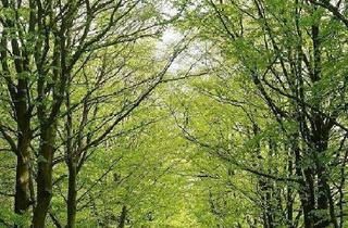 Wohnung kaufen in 01454 Radeberg, Radeberg - Wohnen im Zweifamilienhaus mit viel Raum zur Entfaltung!