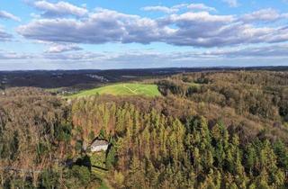Einfamilienhaus kaufen in Elfringhauser Str. 113, 45527 Hattingen, Hattingen - Freistehendes Einfamilienhaus in Alleinlage mit Panoramablick im Wald