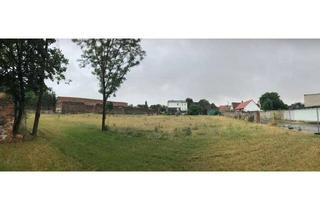 Mehrfamilienhaus kaufen in 39291 Möckern, Möckern - Stegelitz - ZFH, 2 EFH und großes Baugrundstück für 5 EFH!