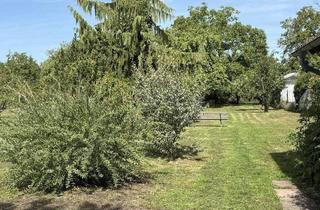 Einfamilienhaus kaufen in 76479 Steinmauern, Steinmauern - Grüne Oase mit Charakter - ruhig gelegen und stilvoll modernisiert