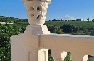 Doppelhaushälfte kaufen in Freyburger Allee 16, 55283 Nierstein, Nierstein - Doppelhaushälfte in toskanischem Flair mit Einliegerwohnung - direkt von Eigentümer