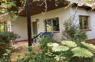 Haus kaufen in 31535 Neustadt, Neustadt am Rübenberge - Einzigartiges Waldgrundstück mit Wochenendhaus und Teichzugang