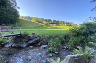Haus kaufen in 79429 Malsburg, Malsburg - Ein- bis Zweifamilienhaus im Grünen