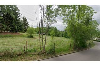 Haus kaufen in 08141 Reinsdorf, Reinsdorf - große Grundstück im grünen mit Bauland