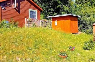 Haus kaufen in 29456 Hitzacker, Hitzacker (Elbe) - Kleines Holzhaus in Hitzacker Tießau