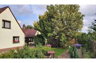 Doppelhaushälfte kaufen in 14943 Luckenwalde, Luckenwalde - DHH im Süden der Kreisstadt