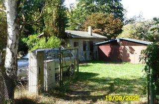 Haus kaufen in 04889 Schildau, Belgern-Schildau - Wochenendgrundstück in der Dahlener Heide
