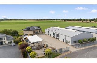 Haus kaufen in 52538 Gangelt, Gangelt - Modernes Wohn- & Gewerbeanwesen mit Panoramablick im Gewerbegebiet von Gangelt!