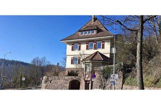 Wohnung kaufen in 75365 Calw, Calw - Historische Wohnung mit modernem Flair