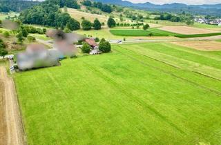 Einfamilienhaus kaufen in 79350 Sexau, Sexau - Sanierungsbedürftiges Einfamilienhaus mit Wiesengrundstücken und Wohnhaus in idylischer Lage