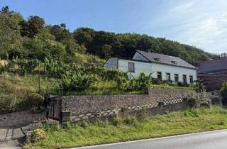 Einfamilienhaus kaufen in 01662 Meißen, Meißen - Großzügiges Hanggrundstück mit Altbestand und herrlichem Elbe Blick