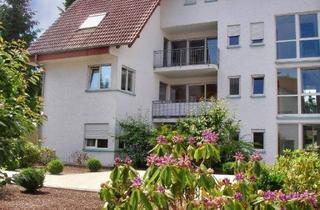 Wohnung kaufen in 74918 Angelbachtal, Angelbachtal - Wohnung mit 2 Tiefgaragenstellplätzen und Balkon