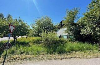 Haus kaufen in 69427 Mudau, Mudau - Randlage. Bungalow auf Keller mit Nebengebäude