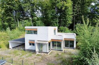 Einfamilienhaus kaufen in 32457 Porta Westfalica, Porta Westfalica - Hausberger Schweiz: Moderne Architektur trifft traumhafte Lage