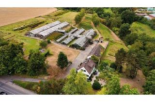 Einfamilienhaus kaufen in 45289 Essen, Essen - Willkommen im Grünen - Einfamilienhaus mit vielseitigem Grundstück in ruhiger Lage!