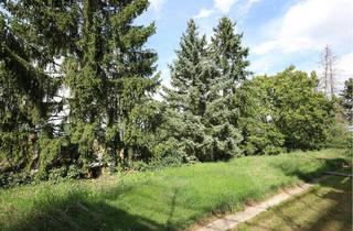 Wohnung kaufen in 13469 Berlin, Berlin - Gepflegte Seniorenfreundliche 2-Zimmer-Wohnung - ruhig zum Garten, zentral in Lübars