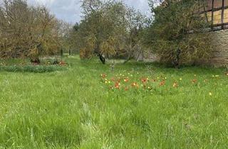 Haus kaufen in 99998 Weinbergen, Mühlhausen - Ein Town & Country Haus, welches sich Ihren Lebensumständen anpasst in Mühlhausen OT Grabe