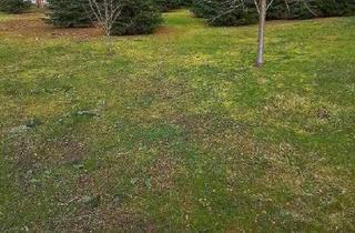 Doppelhaushälfte kaufen in 37269 Eschwege, Eschwege - Das schlanke Town & Country Doppelhaus in Eschwege OT Oberdünzebach - urbanes Wohnen zweifach gen...