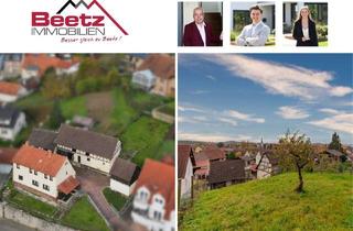 Haus kaufen in 74889 Sinsheim, Sinsheim / Steinsfurt - Haus von 1842 mit vielen Möglichkeiten in Sinsheim-Steinsfurt