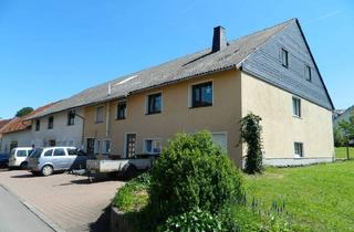 Mehrfamilienhaus kaufen in 35066 Frankenberg, Frankenberg-Eder - Mehrfamilienhaus mit Potenzial in Willersdorf