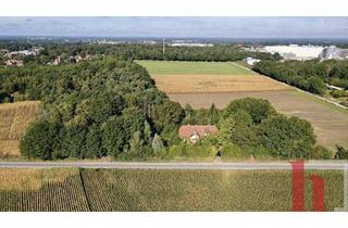 Haus kaufen in 49393 Lohne, Lohne - Dieses Anwesen wartet auf sein Erwachen - Haus und Nebengebäude mit herrschaftlichem Grundstück in Lohne