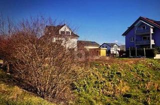 Grundstück zu kaufen in 79353 Bahlingen, Bahlingen am Kaiserstuhl - DIREKT BEBAUBAR, PLANUNGSSICHER