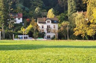 Loft kaufen in Schauinslandstraße 18, 79100 Freiburg, Freiburg im Breisgau - Fabrik-Loft-Etage für Arbeiten+Wohnen + in Gründerzeit-4-FamHs + mit GartenWerkstattHaus + Paradiesgarten + teilbar in Teileigentum
