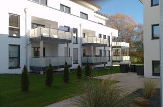 Wohnung mieten in Allensteiner Straße, 32805 Horn-Bad Meinberg, Neuwertige Wohnung mit zwei Zimmern und Balkon in Horn-Bad Meinberg