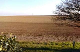 Wohnung mieten in 55234 Hochborn, 2-Zimmer Wohnung im schönen Hochborn ELW - ruhige Lage