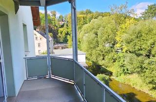 Wohnung mieten in Einsiedler Hauptstraße 107, 09123 Einsiedel, Top modernisierte 2 Zimmer Wohnung mit großem Balkon in Chemnitz / Einsiedel