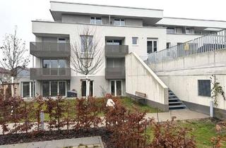 Wohnung mieten in 74336 Brackenheim, Barrierefreie 3-Zimmer-Neubauwohnung in Brackenheim