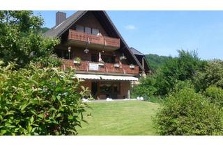 Wohnung mieten in Rurstraße 13b, 52372 Kreuzau, Helle 2-Zimmer-Wohnung mit Balkon in Kreuzau