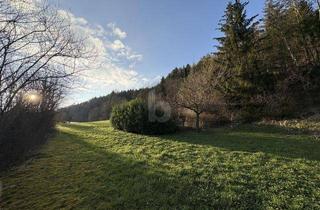 Anlageobjekt in 72172 Sulz, RUHE UND NATUR MIT EIGENER QUELLE (KEIN BAULAND)