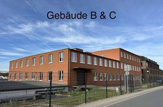 Gewerbeimmobilie mieten in Römerstraße, 53424 Remagen, Helle Lagerhalle mit Sektionaltor und Heizung