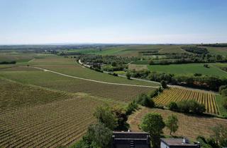 Grundstück zu kaufen in 55270 Zornheim, Traumgrundstück in Zornheim am Feldrand! Blicklage!