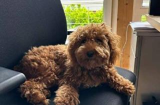 Büro zu mieten in 55585 Altenbamberg, Existenzgründer aufgepasst - all in Warm-Miete f. ein eigenes Büro in repräsentativer Umgebung