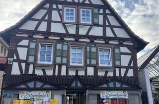 Gewerbeimmobilie mieten in Hauptstraße 98, 76870 Kandel, Kandel: Raum für Ideen: Geförderte Flächen in der Innenstadt